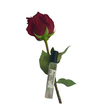 Load image into Gallery viewer, Benevolent Rose Creme Perfume